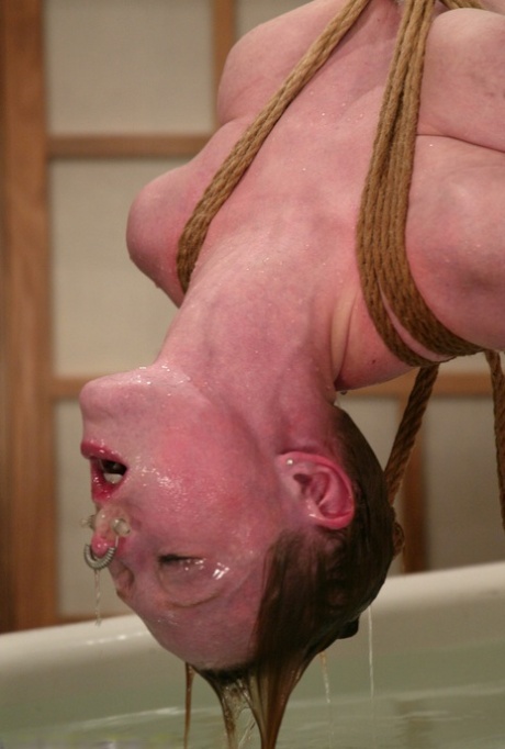 Dee Williams pornstar erotic pics