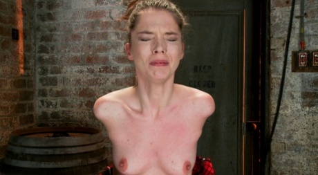 Jessi Palmer pornstar naked galleries